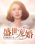 盛世宠婚豪门第一夫人免费阅读