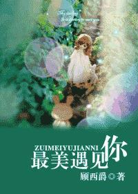 最美遇见你顾西爵txt书包网