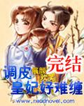 调皮王妃