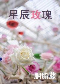 星辰玫瑰项链