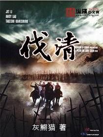 伐清讲的是什么
