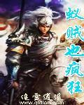 蚁贼完本