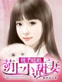 枕上暖婚免费阅读