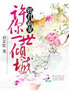 邪君宠妃