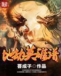 天地劫英雄测评