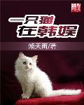 养了一只猫