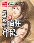疯狂升级动漫在线观看