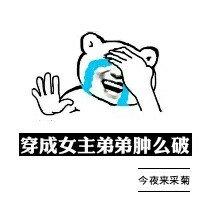 穿成女主她弟弟