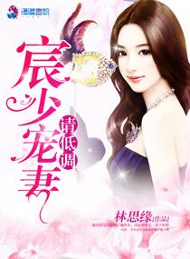 宸少你老婆要跑了全文免费阅读
